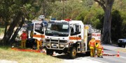 Crash, Cockatoo Valley