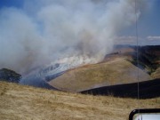 Grass fire, Willunga