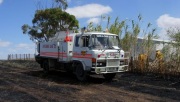 Grass fire, Naine