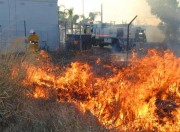 Burn off, Morphett vale