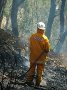 Scrub fire, Ashton