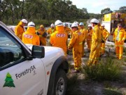 Briefing, Dead mand swamp burn off