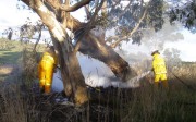 Grass Fire, Littlehampton