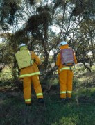 Region 3 Field Day, Lameroo