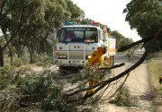 Tree down, Mudla Wirra