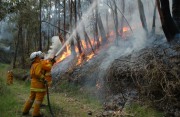 Burn off, Forest Range