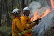 Burn off, Forest Range