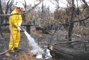 Scrub fire, Gosselands, KI