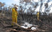 Scrub fire, Gosselands, KI