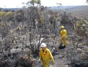 Scrub fire, Gosselands, KI