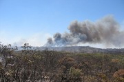 Grass / Scrub fire, Coonalpyn