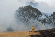 Grass / Scrub fire, Humbug Scrub