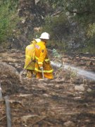 Grass / Scrub fire, Humbug Scrub