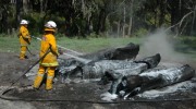 Smouldering stumps, Basket Range