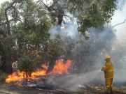 Scrub fire, Kangaroo Island