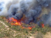 Grass / Scrub fire, One Tree Hill