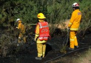 Scrub fire,  Basket Range