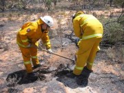 Scrub fire, Bookmark complex fires