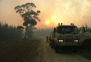 Forest Fire, The Bluff, near Mt Gambier