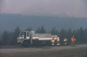 Forest Fire, The Bluff, near Mt Gambier