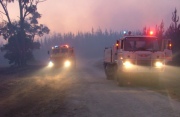 Forest Fire, The Bluff, near Mt Gambier