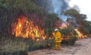 Scrub fire, Bookmark complex fires