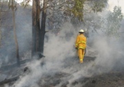 Scrub fire, Scott Creek