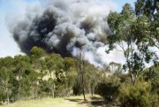 Grass / Scrub fire, Onkaparinga Gorge