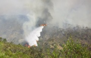 Grass / Scrub fire, Onkaparinga Gorge