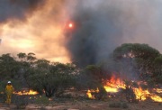 Scrub fire, Bookmark complex fires