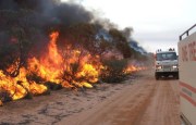 Scrub fire, Bookmark complex fires