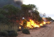 Scrub fire, Bookmark complex fires