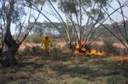 Scrub fire, Bookmark complex fires