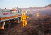 Forest Fire, Williamstown