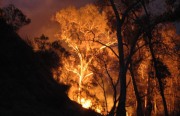 Grass / scrub fire, Onkaparinga Gorge