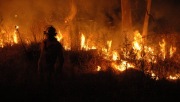 Grass / scrub fire, Onkaparinga Gorge