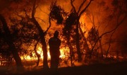 Grass / scrub fire, Onkaparinga Gorge