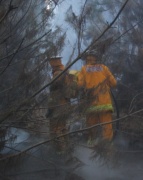 Forest Fire, The Bluff, near Mt Gambier