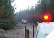 Forest Fire, The Bluff, near Mt Gambier