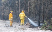 Forest Fire, The Bluff, near Mt Gambier