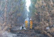 Forest Fire, The Bluff, near Mt Gambier