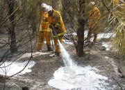 Forest fire, The Bluff