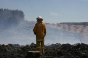 Forest Fire, Williamstown