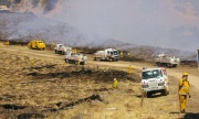 Forest Fire, Williamstown