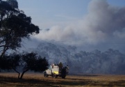 Scrub fire, Coxes scrub