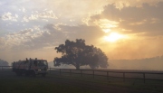 Grass / Scrub fire, Mt Bold