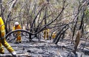 Scrub fire, Devils Gully