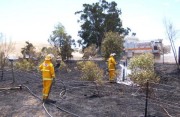 Grass fire, Stockwell