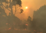 Grass / Scrub fire, Mt Bold