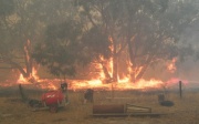 Grass / Scrub fire, Mt Bold